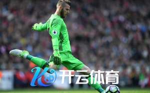 必赢net.95全方位解析，助力用户轻松掌握实用技巧