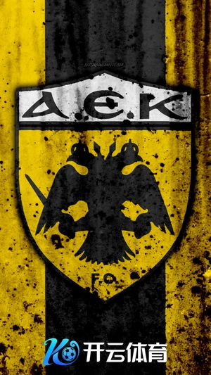 Kaiyun网页入口使用界面示意