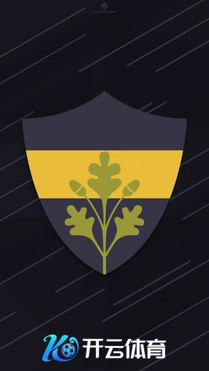 探索kaiyun平台手机网页版的全新体验