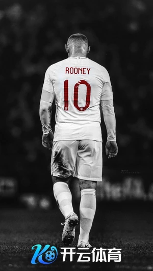 kaiyuncom官方网站