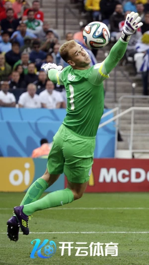 kaiyun平台手机网页版便捷实用体验深度解析