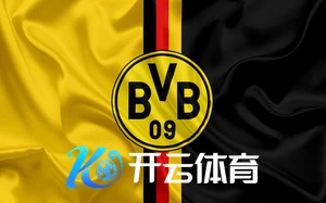 云开app官方免费下载全新体验轻松掌握