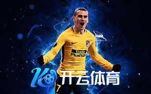 Kaiyun登录入口登录