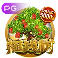 九游电子pg官网入口策略大师Ace