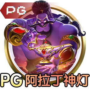 正版pg下载入口安全验证步骤示意图