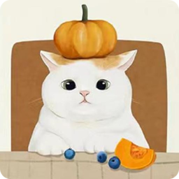 巴士壹佰手机客户端