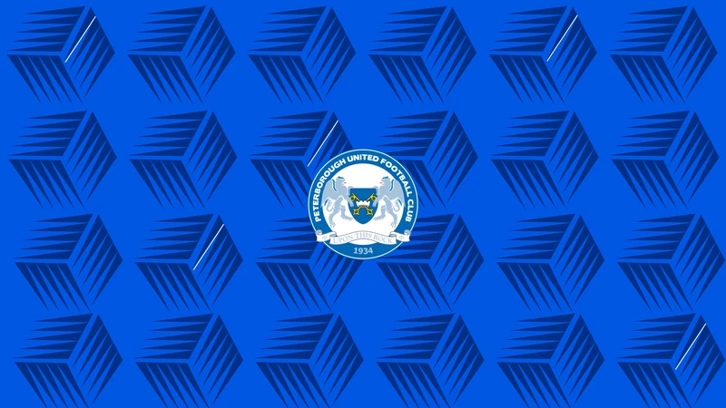 友博体育·(友博)官方网站智慧预测计划发布现场，专家演示AI预测模型